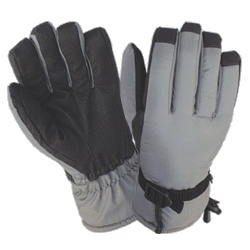 Ski Gloves